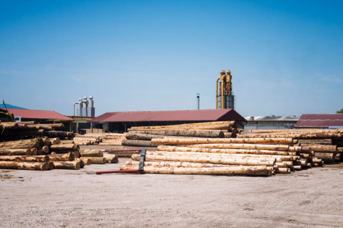How to Choose the Right Timber Suppliers for Furniture Makers
