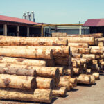 Timber Suppliers UAE