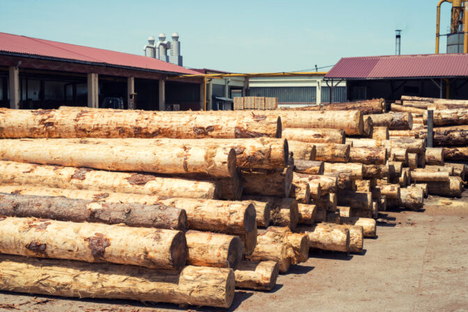 Why Are Reliable Timber Suppliers Essential for Quality Construction?