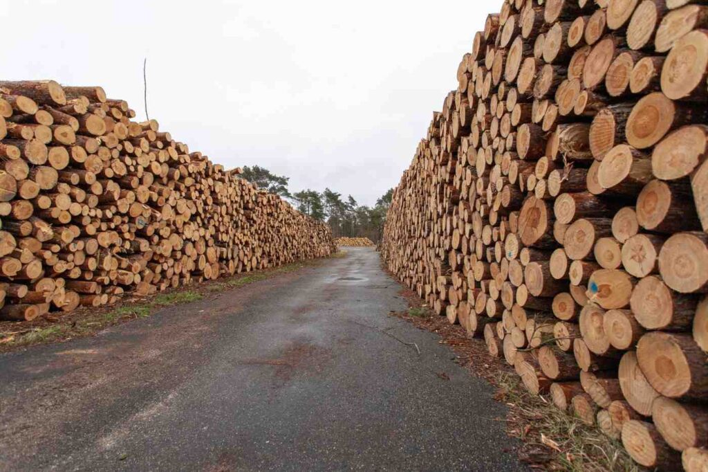American Cherry Wood Suppliers in Dubai