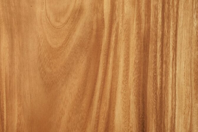 Enhance Your Interiors with European Beech Wood Suppliers in the UAE