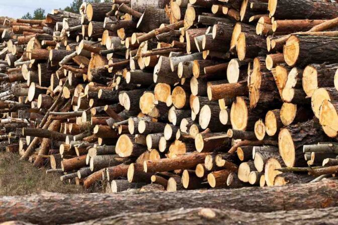 How to Find Reliable and Affordable African Timber Suppliers in the UAE